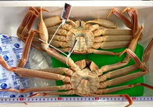 画像をギャラリービューアに読み込む, 松葉蟹【茹】500g前後 1枚〜