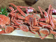 画像をギャラリービューアに読み込む, 松葉蟹【茹】500g前後 1枚〜