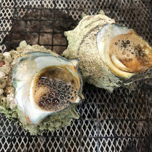 画像をギャラリービューアに読み込む, サザエ【活(生食可)・直採り・砂抜き済】 1KG〜