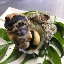 画像をギャラリービューアに読み込む, サザエ【活(生食可)・直採り・砂抜き済】 1KG〜