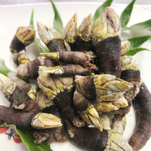 画像をギャラリービューアに読み込む, カメノテ【生・予約販売のみ】