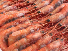 画像をギャラリービューアに読み込む, 赤エビ【冷凍】1箱(約32匹入り)