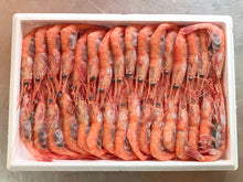 画像をギャラリービューアに読み込む, 赤エビ【冷凍】1箱(約32匹入り)